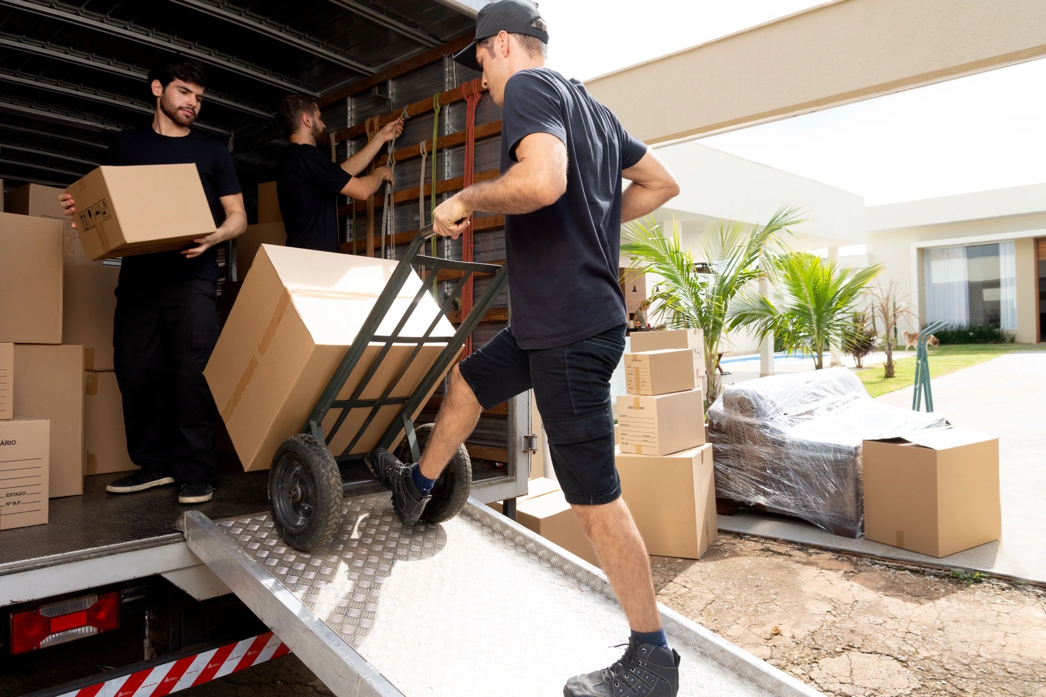 Business Relocation Specialists